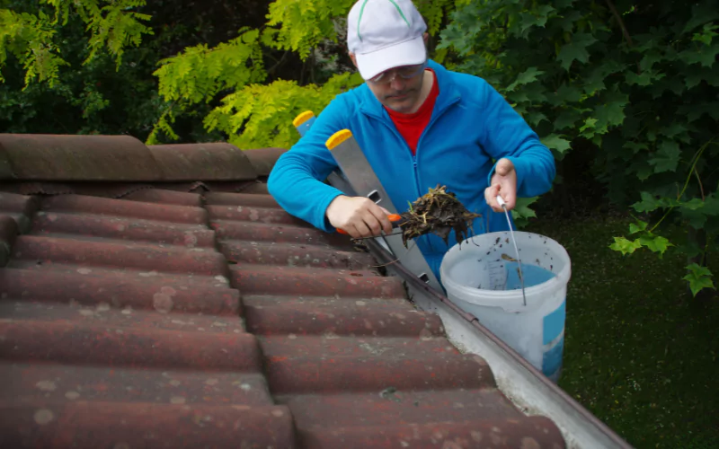 gutter cleaning service Wesley Chapel